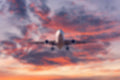 FREE FLIGHTS METHOD (STEP-BY-STEP)